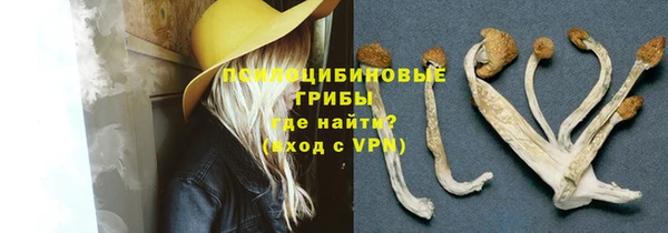 спиды Аркадак