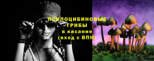 ECSTASY Армянск