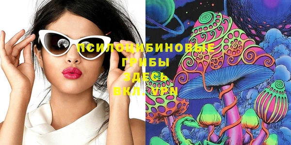 спиды Аркадак
